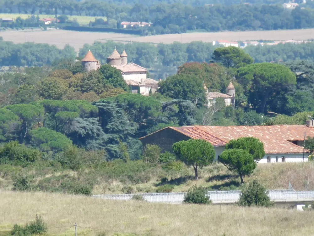 Foto di Castello di Vieillevigne - Sous licence Creative Commons (https://creativecommons.org/licenses/by-sa/4.0/deed.fr) - Par Jack ma - © Creative Commons (https://creativecommons.org/licenses/by-sa/4.0/deed.fr)
