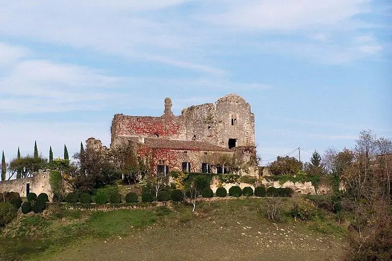 Foto von Château de Caze - Henry Salomé - © Creative Commons (https://creativecommons.org/licenses/by-sa/4.0/deed.fr)