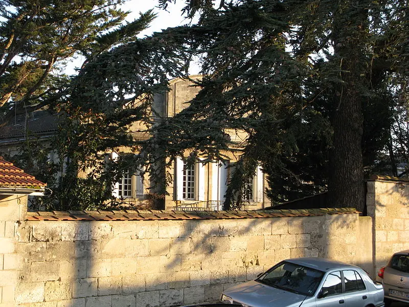 Foto de Chartreuse le caoulet - Symac / Sylvain Machefert - © Creative Commons (https://creativecommons.org/licenses/by-sa/4.0/deed.fr)