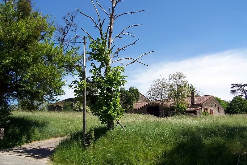 Foto von Domaine de Montalban - Henry Salomé - © Creative Commons (https://creativecommons.org/licenses/by-sa/4.0/deed.fr)
