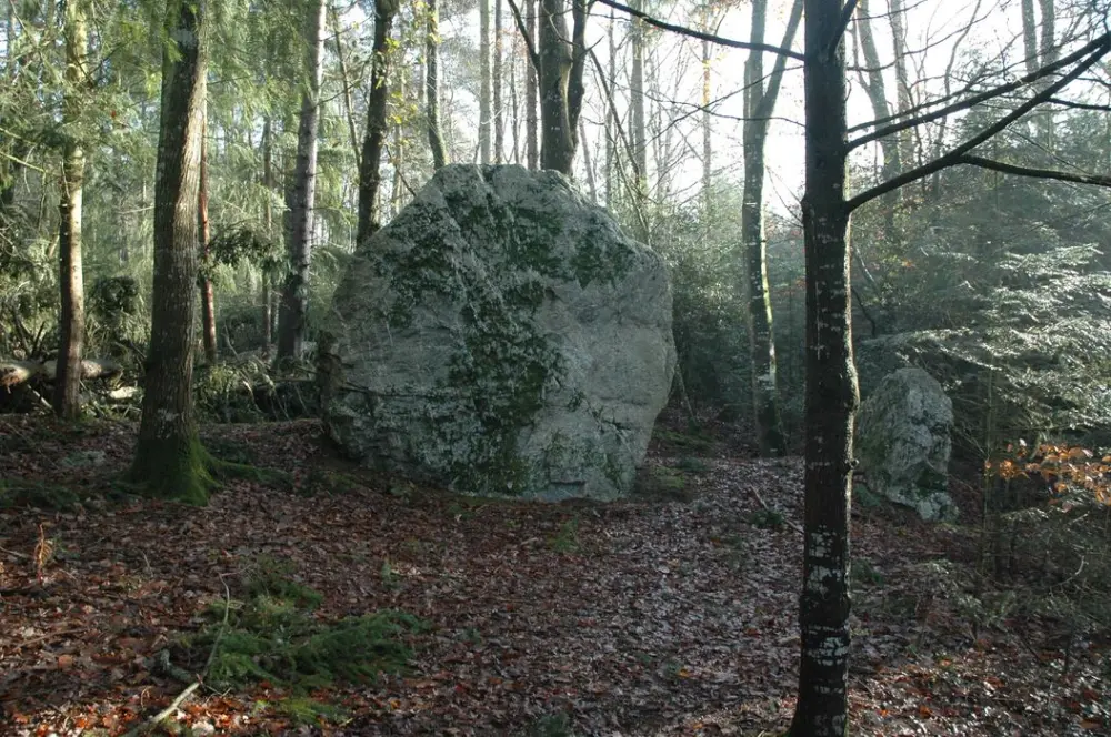 Foto de Set megalítico ubicado en el parque del Château du Brossay - POP Plateforme Ouverte du Patrimoine / Base Mérimée - ® Ministère de la Culture (France), Direction Régionale des Affaires Culturelles de Bretagne, tous droits réservés