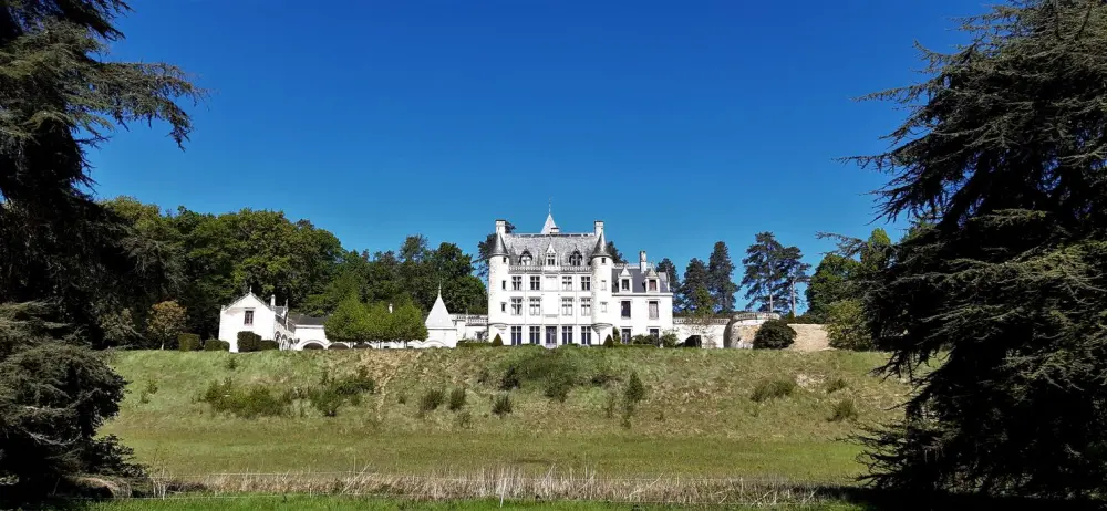 Foto di Castello di Petit-Thouars - POP Plateforme Ouverte du Patrimoine / Base Mérimée - © Ministère de la Culture (France), Direction Régionale des Affaires Culturelles du Centre-Val de Loire – Tous droits réservés 