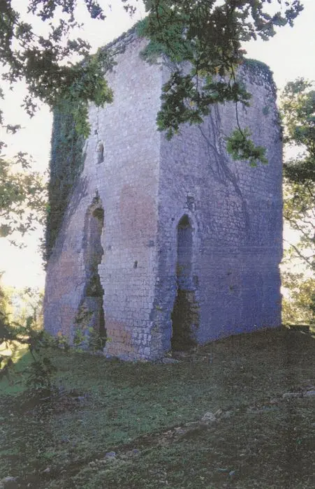 Foto de Castillo de Poyaller - POP Plateforme Ouverte du Patrimoine / Base Mérimée - © Ministère de la Culture (France), Médiathèque du patrimoine et de la photographie, tous droits réservés