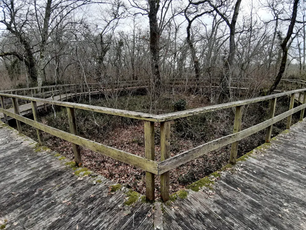 Foto von Mittelalterliche Castets schwanger - Sous licence Creative Commons (https://creativecommons.org/licenses/by-sa/4.0/deed.fr) - Par Jibi44 - © Creative Commons (https://creativecommons.org/licenses/by-sa/4.0/deed.fr)