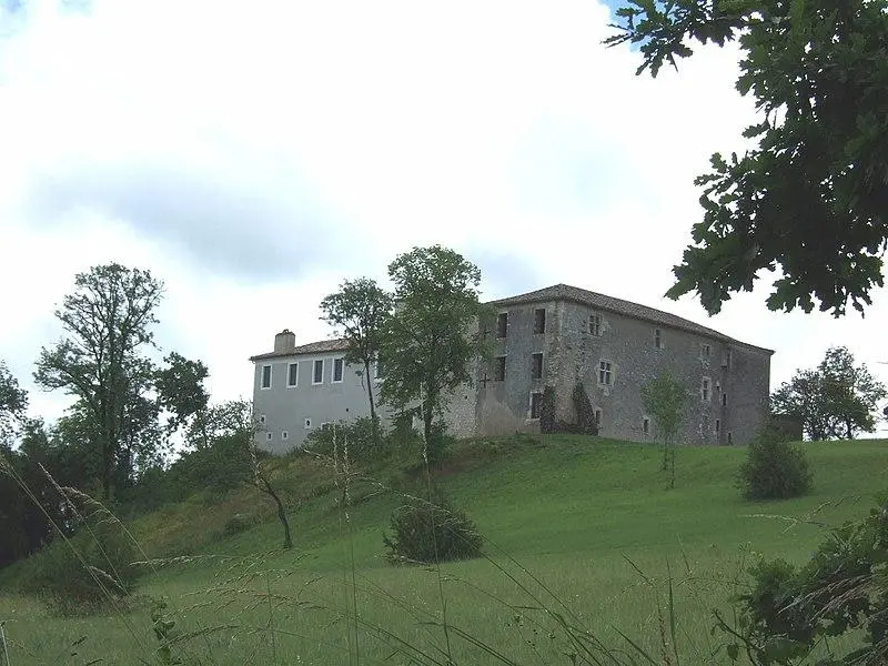 Foto di Castello - René Hourdry - © Creative Commons (https://creativecommons.org/licenses/by-sa/4.0/deed.fr)