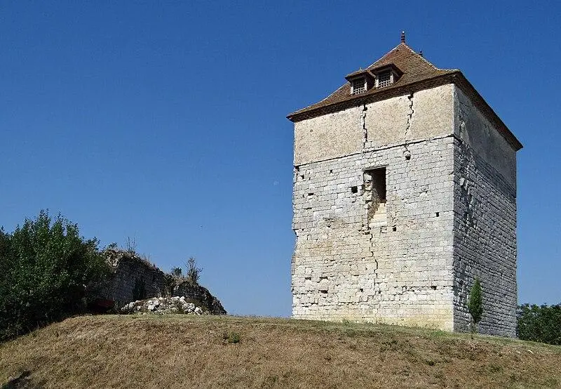 Foto von Roquefort Castle - MOSSOT - © Creative Commons (https://creativecommons.org/licenses/by-sa/4.0/deed.fr)