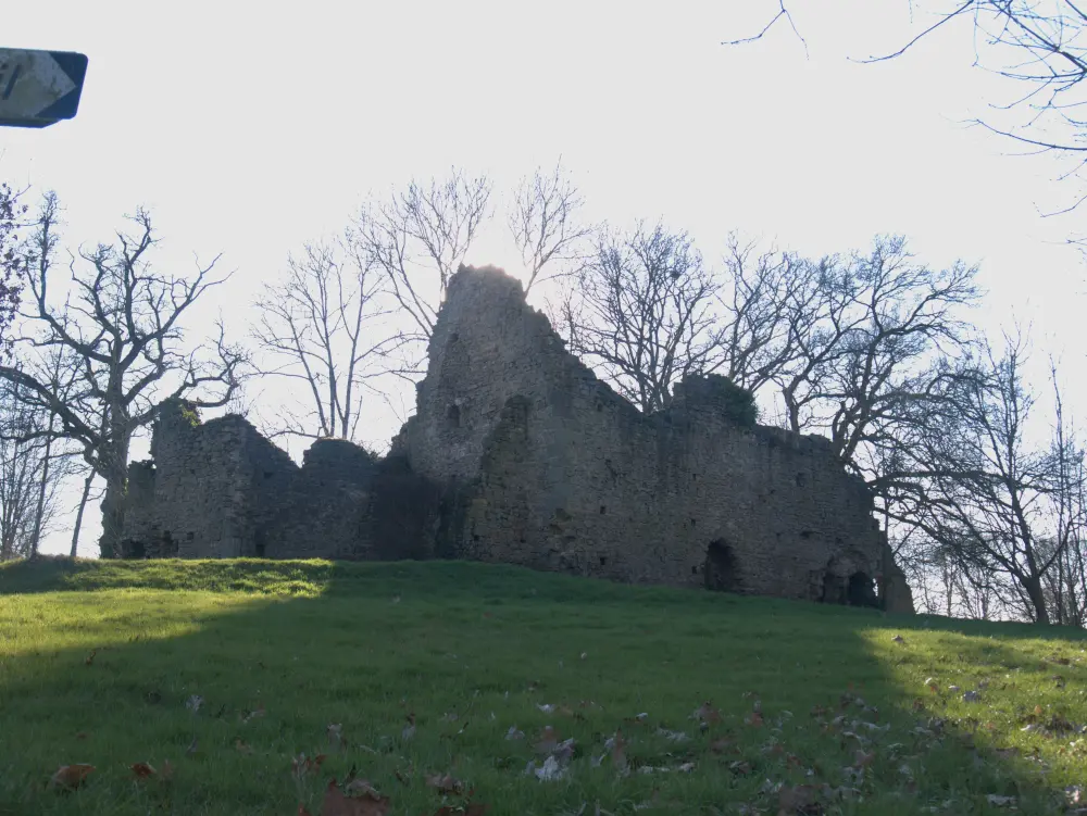 Foto von Château de Chelé - Sous licence Creative Commons (https://creativecommons.org/licenses/by-sa/4.0/deed.fr) - Par Simon de l'Ouest - © Creative Commons (https://creativecommons.org/licenses/by-sa/4.0/deed.fr)