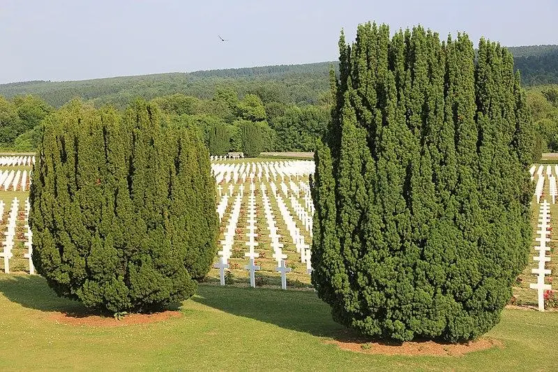 Foto von Douaumont Ossuary - Hans A. Rosbach - © Creative Commons (https://creativecommons.org/licenses/by-sa/4.0/deed.fr)