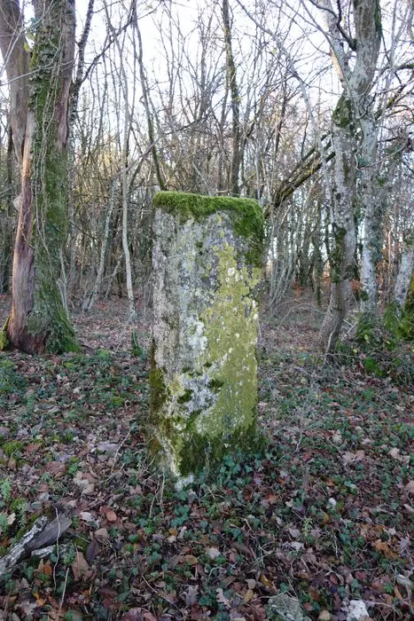 Foto von Menhir "Le Corrois" - POP Plateforme Ouverte du Patrimoine / Base Mérimée - © Ministère de la Culture (France), Direction Régionale des Affaires Culturelles du Grand Est – Tous droits réservés 