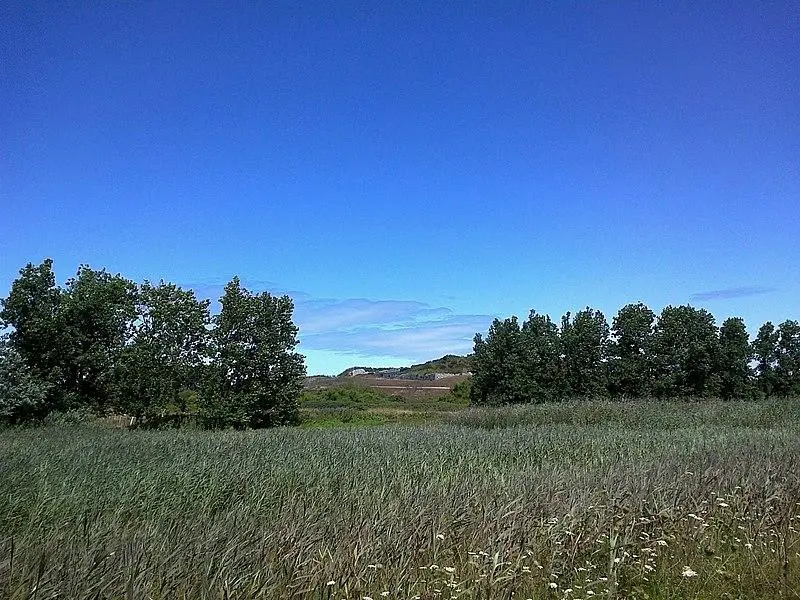 Foto von Stark von Hoedic - rene boulay - © Creative Commons (https://creativecommons.org/licenses/by-sa/4.0/deed.fr)