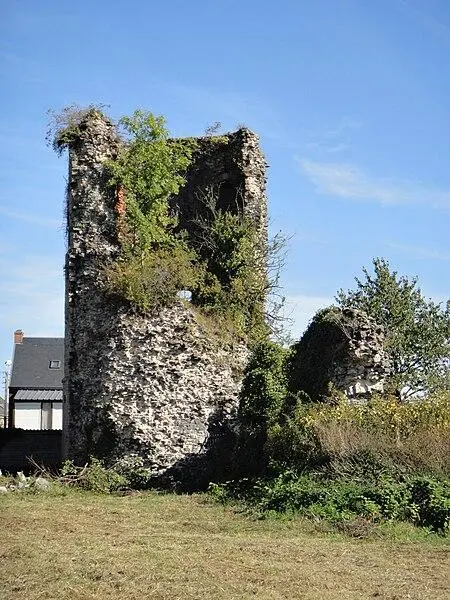 Foto von Überreste der Burg - Leroypy - © Creative Commons (https://creativecommons.org/licenses/by-sa/4.0/deed.fr)