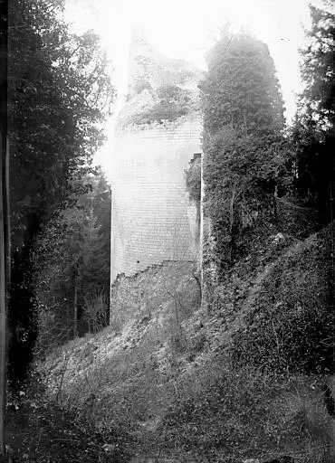 Foto di Rovine del castello di Fressin - POP Plateforme Ouverte du Patrimoine / Base Mérimée - © Ministère de la Culture (France), Médiathèque du patrimoine et de la photographie, diffusion RMN-GP