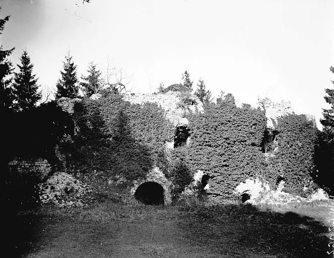 Foto di Rovine del castello di Fressin - POP Plateforme Ouverte du Patrimoine / Base Mérimée - © Ministère de la Culture (France), Médiathèque du patrimoine et de la photographie, diffusion RMN-GP