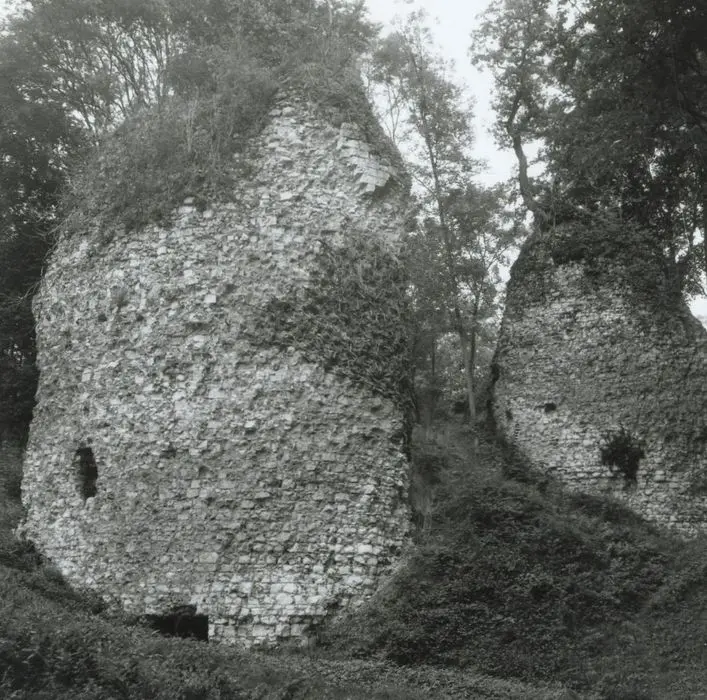 Foto di Rovine del castello di Fressin - POP Plateforme Ouverte du Patrimoine / Base Mérimée - © Ministère de la Culture (France), Médiathèque du patrimoine et de la photographie, Tous droits réservés 