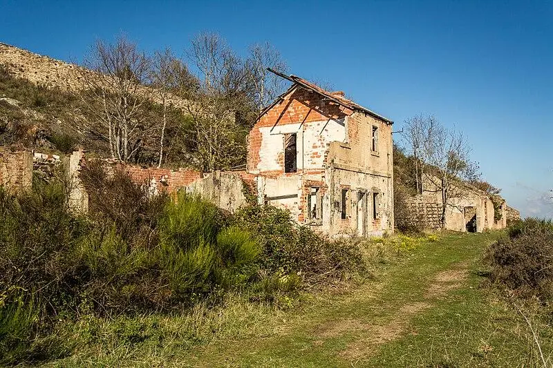 Foto de Mina de pino - Mickaël COSSON - © Creative Commons (https://creativecommons.org/licenses/by-sa/4.0/deed.fr)