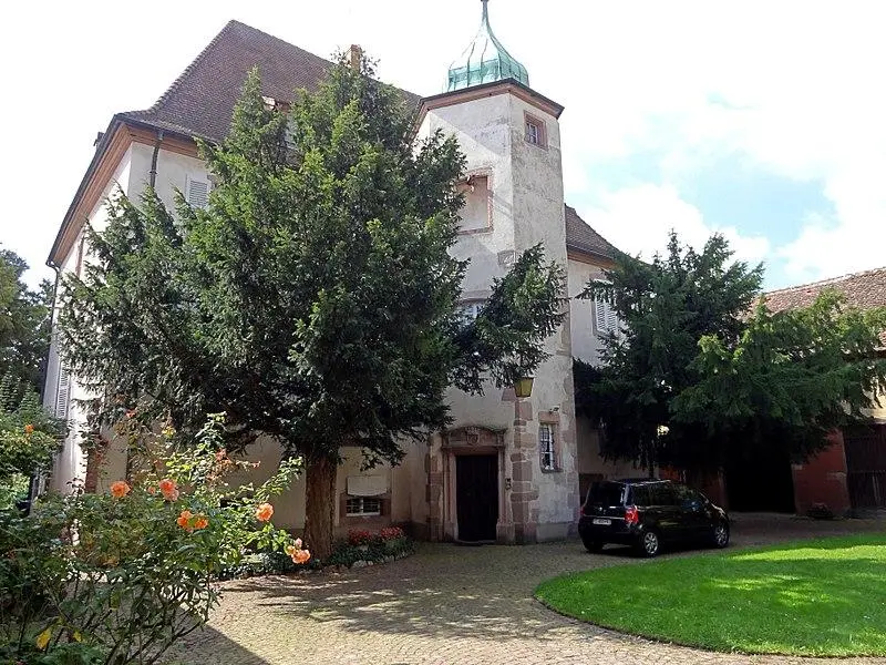 Foto von Ifs Castle - © Ralph Hammann - Wikimedia Commons - © Creative Commons (https://creativecommons.org/licenses/by-sa/4.0/deed.fr)