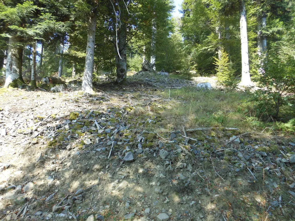 Foto von Neolithische Karriere von polierten Klingen an einem Ort namens Finsterbach - POP Plateforme Ouverte du Patrimoine / Base Mérimée - © Ministère de la Culture (France), Direction Régionale des Affaires Culturelles du Grand Est – Tous droits réservés