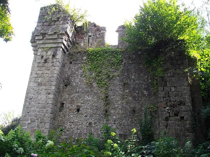 Picture of Castle - Raphodon - © Creative Commons (https://creativecommons.org/licenses/by-sa/4.0/deed.fr)