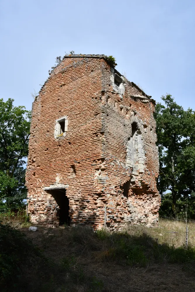 Foto di Motte Castral de Haut-Castel - POP Plateforme Ouverte du Patrimoine / Base Mérimée - © Ministère de la Culture (France), Direction Régionale des Affaires Culturelles d’Occitanie – Tous droits réservés