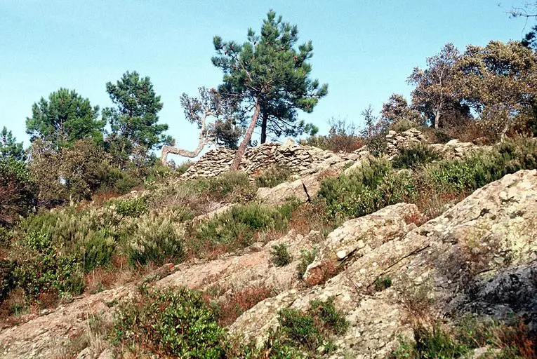Foto di Oppidum di Montjean (anche in Commune of the Môle) - POP Plateforme Ouverte du Patrimoine / Base Mérimée - © Monuments historiques