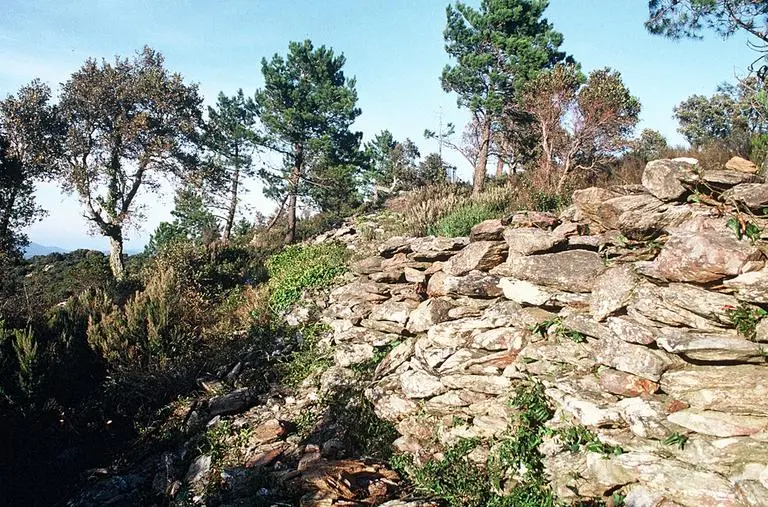 Foto di Oppidum di Montjean (anche in Commune of the Môle) - POP Plateforme Ouverte du Patrimoine / Base Mérimée - © Monuments historiques