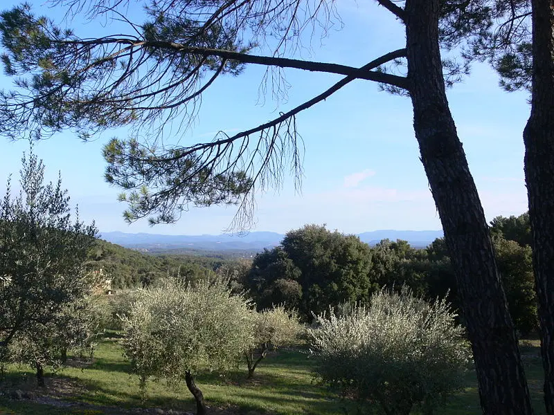 Picture of Domaine des Treilles (also in commune of Flayosc) - Giry - © Creative Commons (https://creativecommons.org/licenses/by-sa/4.0/deed.fr)