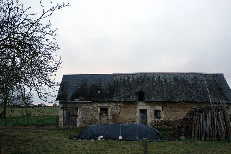 Picture of Acadian houses - Remi Jouan - © Creative Commons (https://creativecommons.org/licenses/by-sa/4.0/deed.fr)