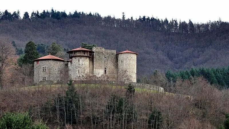 Picture of Château de la Chèze - Binnette - © Creative Commons (https://creativecommons.org/licenses/by-sa/4.0/deed.fr)