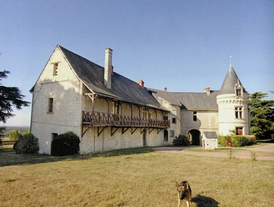 Picture of Château de la Roche-Marteau or Roche-Martel or Roche-du-Maine - POP Plateforme Ouverte du Patrimoine / Base Mérimée - © Ministère de la Culture (France), Médiathèque du patrimoine et de la photographie, tous droits réservés
