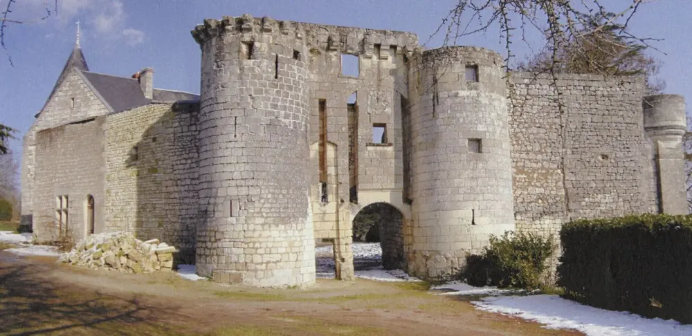 Picture of Château de la Roche-Marteau or Roche-Martel or Roche-du-Maine - POP Plateforme Ouverte du Patrimoine / Base Mérimée - © Ministère de la Culture (France), Médiathèque du patrimoine et de la photographie, tous droits réservés