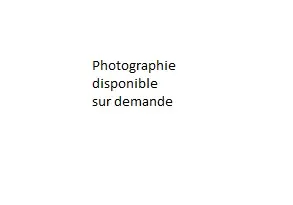 Foto von Domaine du Château de Bort (auch in der Gemeinde Rilhac-Rancon) - POP Plateforme Ouverte du Patrimoine / Base Mérimée - © Ministère de la Culture (France), Médiathèque du patrimoine et de la photographie, tous droits réservés