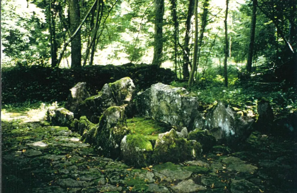 Foto von Drei Truhen unter Tumuli von "Bois-Saint-Charles" - POP Plateforme Ouverte du Patrimoine / Base Mérimée - © Ministère de la Culture (France), Direction Régionale des Affaires Culturelles du Grand Est – Tous droits réservés 