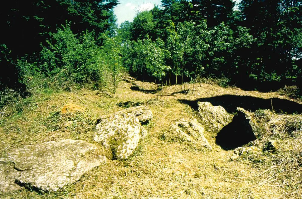Foto de "Comtot Wood Dolmen" - POP Plateforme Ouverte du Patrimoine / Base Mérimée - © Ministère de la Culture (France), Direction Régionale des Affaires Culturelles du Grand Est – Tous droits réservés 