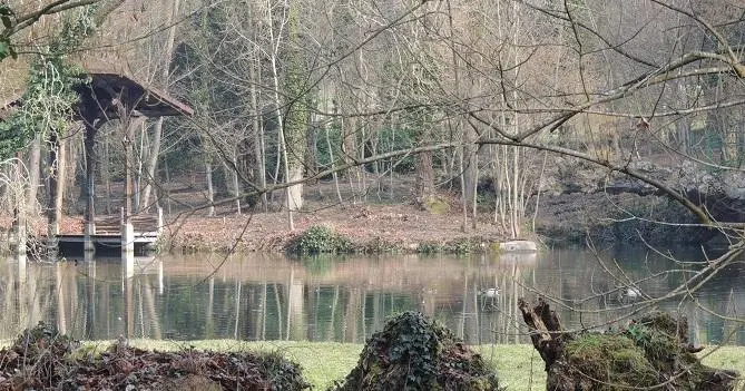 Foto di Domaine de Sillery - Grefeuille - © Creative Commons (https://creativecommons.org/licenses/by-sa/4.0/deed.fr)