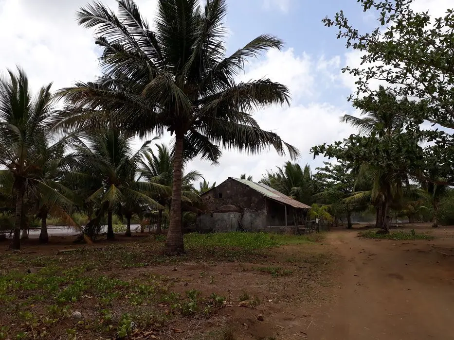 Foto von Moschee und Panzer des alten Dorfes Antana Bé - POP Plateforme Ouverte du Patrimoine / Base Mérimée - © Ministère de la Culture (France), Direction des Affaires Culturelles de Mayotte – Tous droits réservés 