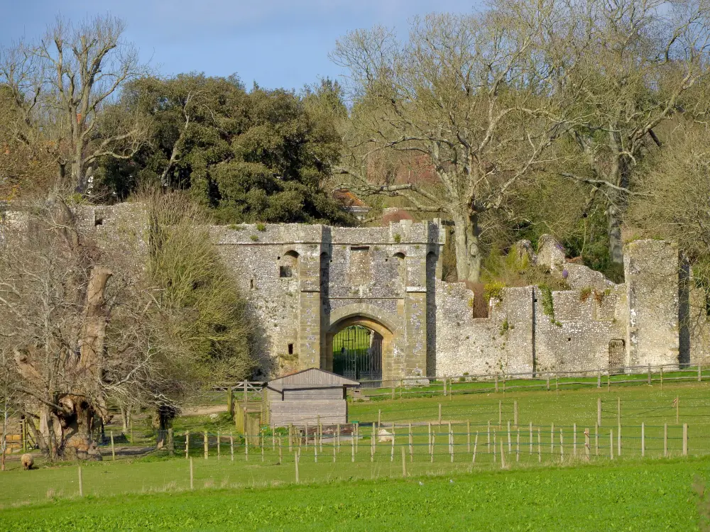 Foto von Die Ruinen des alten Halnaker -Hauses - Historic England