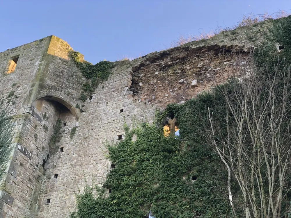 Foto di Castello di Amberley - Historic England