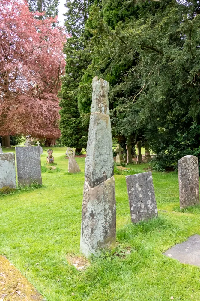 Photo de Arbre transversal à environ 15 mètres au sud du porche sud de l'église de la Sainte-Croix - Historic England