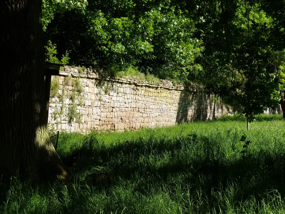 Photo de Abbey Wall au sud-est de Lilleshall Abbey - Historic England
