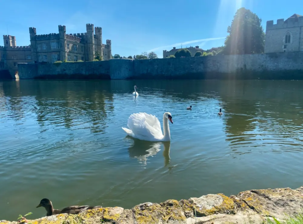 Photo de Château de Leeds - Historic England
