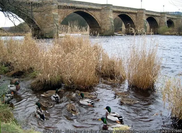 Foto di Corbridge Bridge - Historic England / Andrew Curtis