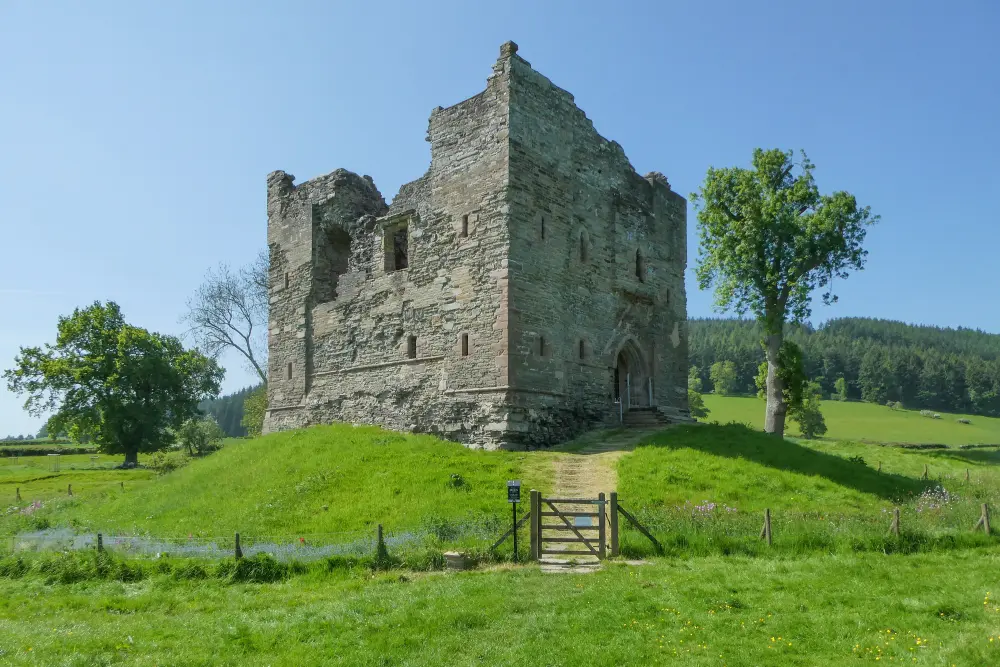 Photo de Restes de château, château de Hopton - Historic England
