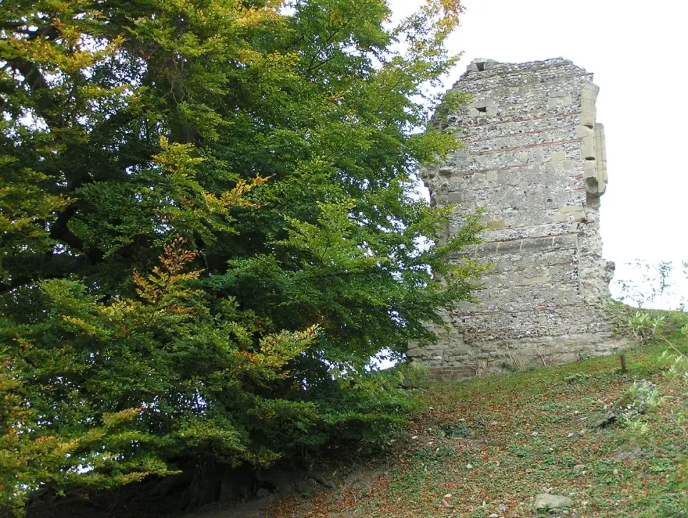 Foto de Restos de la Torre de la Reina en SU 6102 8971 - Historic England