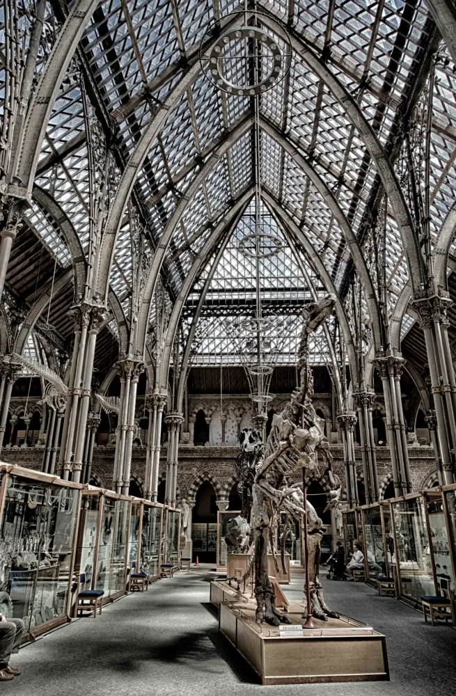 Foto de El museo universitario y el museo de ríos Pitt - Historic England