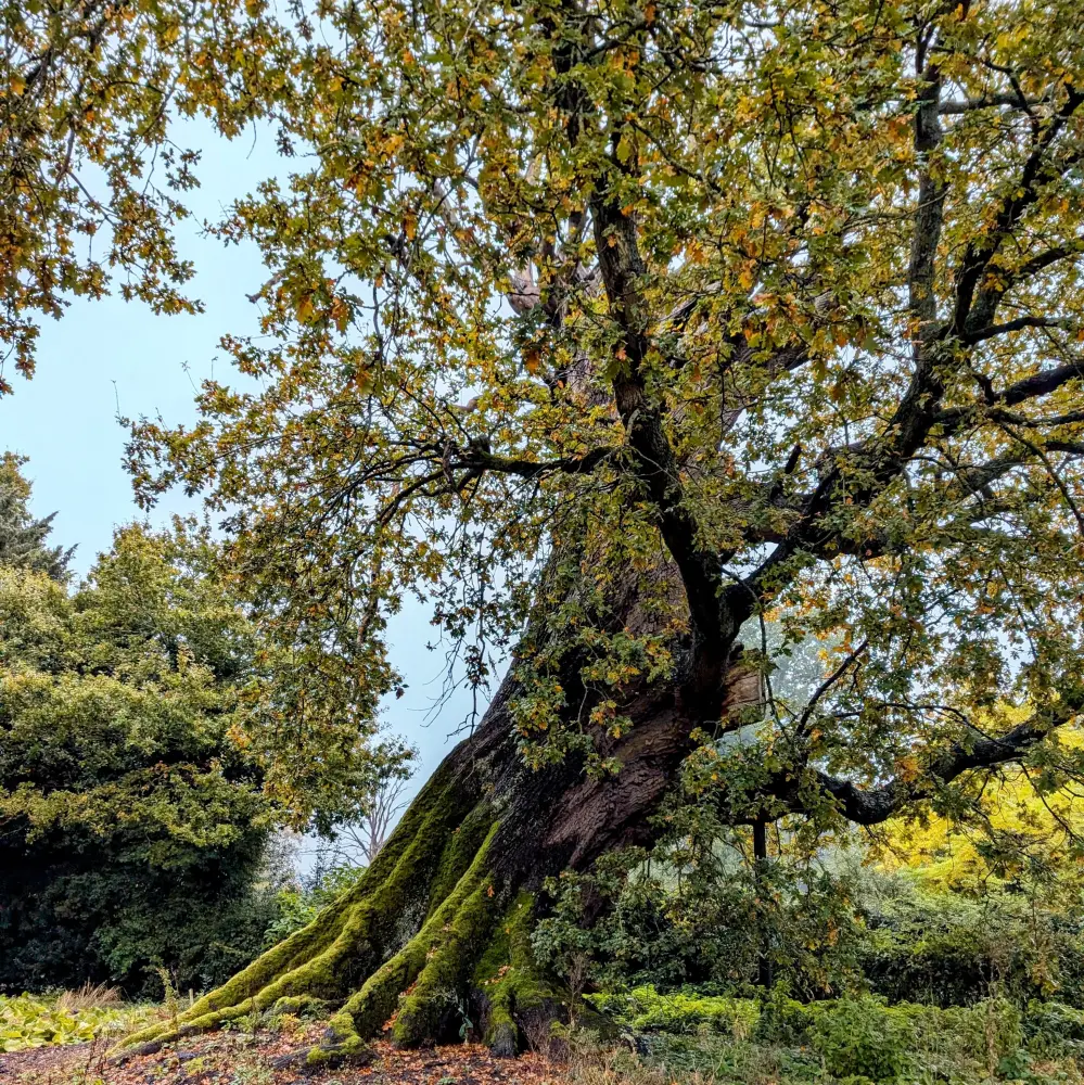 Photo de Pavillon de jardin - Historic England