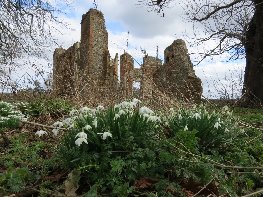 Photo de Restes de vieux Gorhambury - Historic England