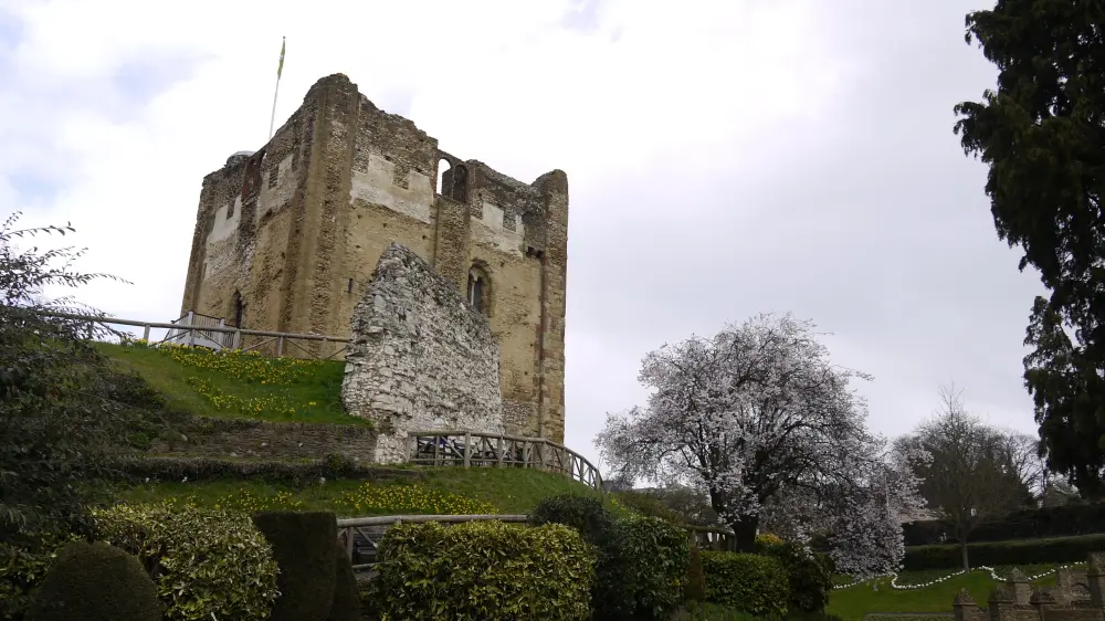 Photo de Restes de coquille de maintien au château de Guildford - Historic England