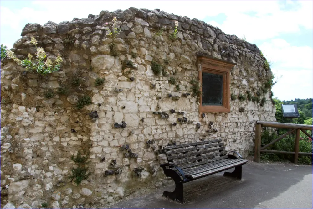 Photo de Restes de coquille de maintien au château de Guildford - Historic England