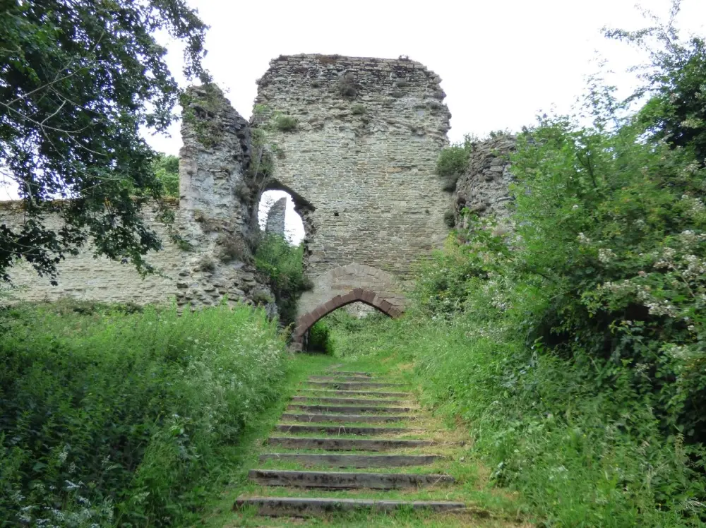 Photo de Ruines du château de Wigmore - Historic England