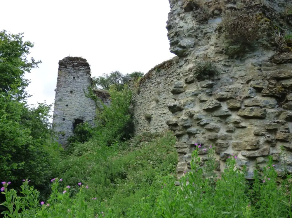 Photo de Ruines du château de Wigmore - Historic England